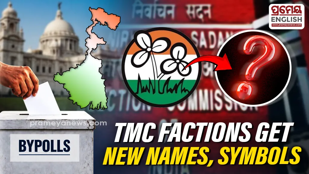 TMC Factions Get New Names & Symbols: Mamata Group Gets Football Player, Arup Roy Camp Gets Envelope