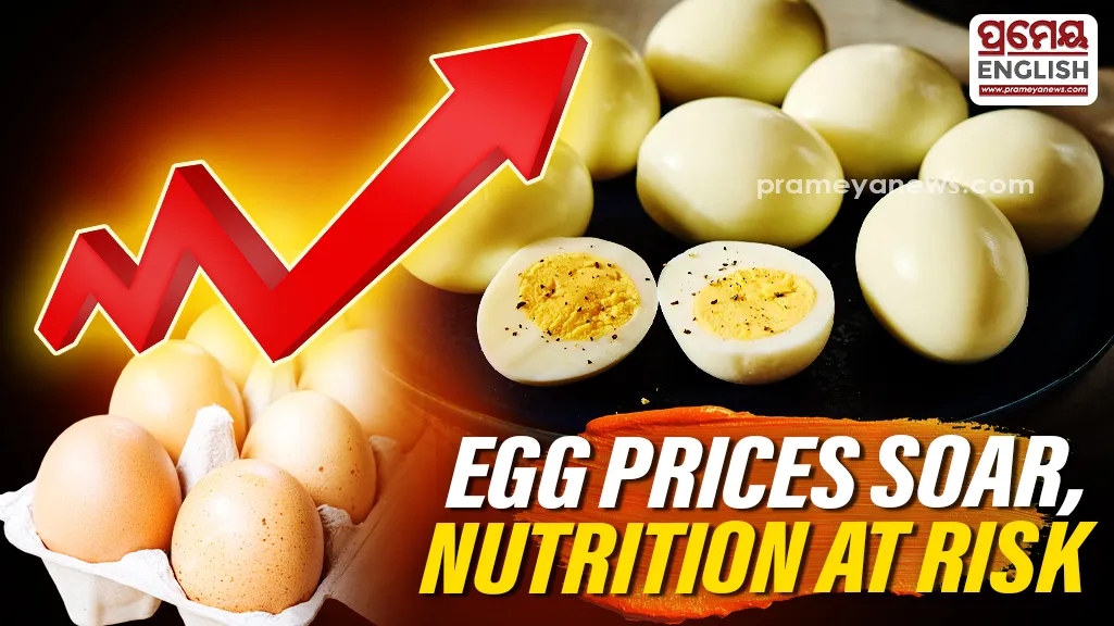 Rising egg prices raise concern over nutrition in Odisha