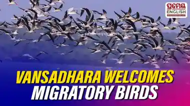Why do hundreds of birds flock to this Odisha village every year?