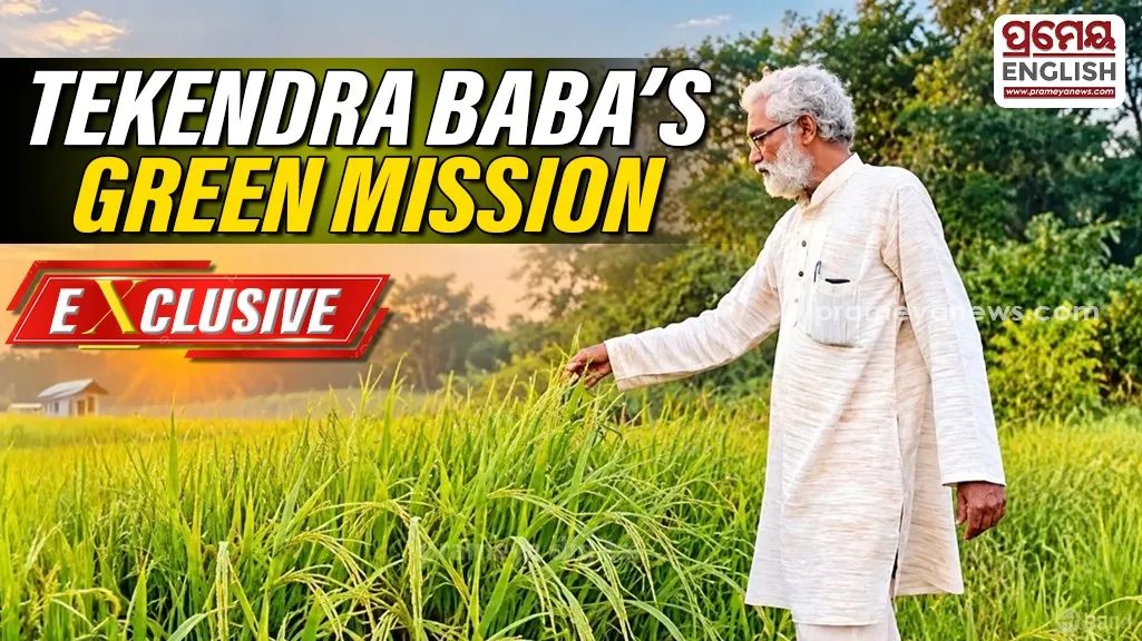 The 59-year-old saving Gandhamardan’s rare medicinal plants