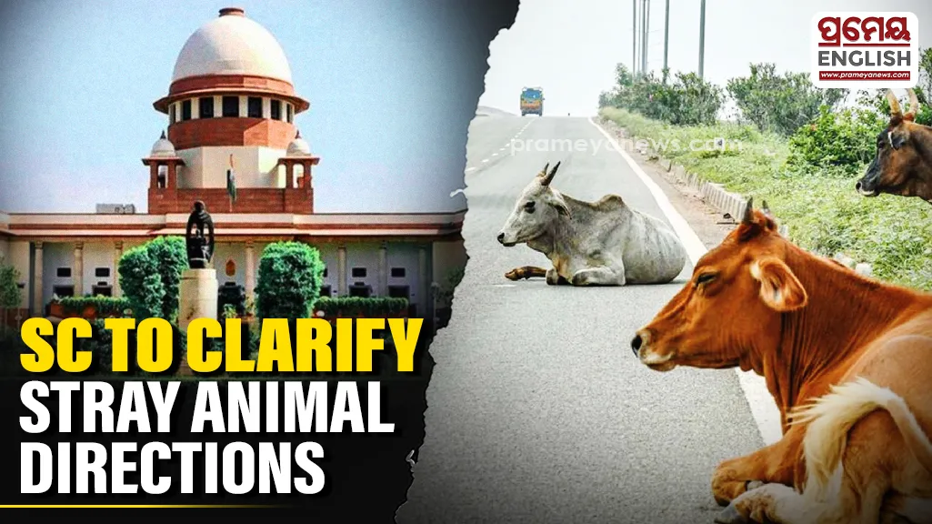 Supreme Court to consider NHAI plea seeking clarity on stray animal directions