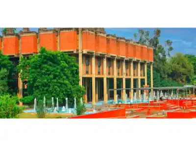 173 IIT students died by suicide in 20 years, 70% of deaths recorded in last decade: Alumni group