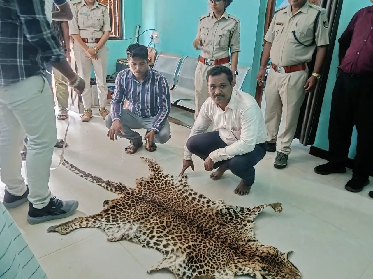 Odisha Vigilance seizes leopard skin; one held in Nuapada
