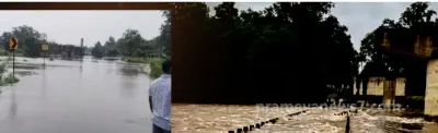 Deep Depression: Four bridges submerged in Malkangiri as heavy rain batters Odisha