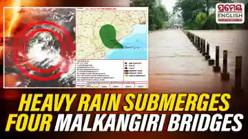 Deep Depression: Four bridges submerged in Malkangiri as heavy rain batters Odisha