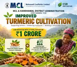 MCL inks MoU for improved turmeric cultivation in Kandhamal