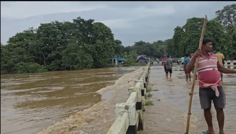 Mayurbhanj Flood Update: Water Recedes in Several Areas, Schools Shut in 7 Blocks