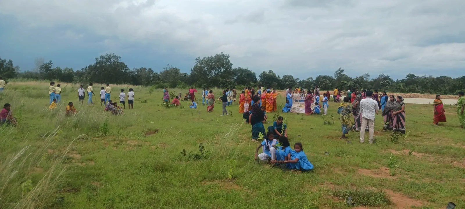 Ek Ped Maa Ke Naam 3.0: Odisha plants over 47 lakh saplings in a single day