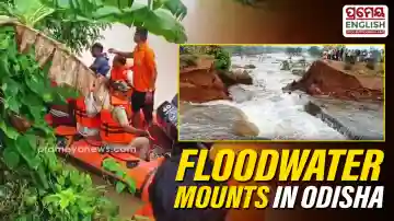 Floodwaters inundate farmlands in Mayurbhanj after Gangahar embankment breach