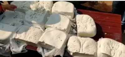 Cuttack fake paneer case: 11 booked over adulteration