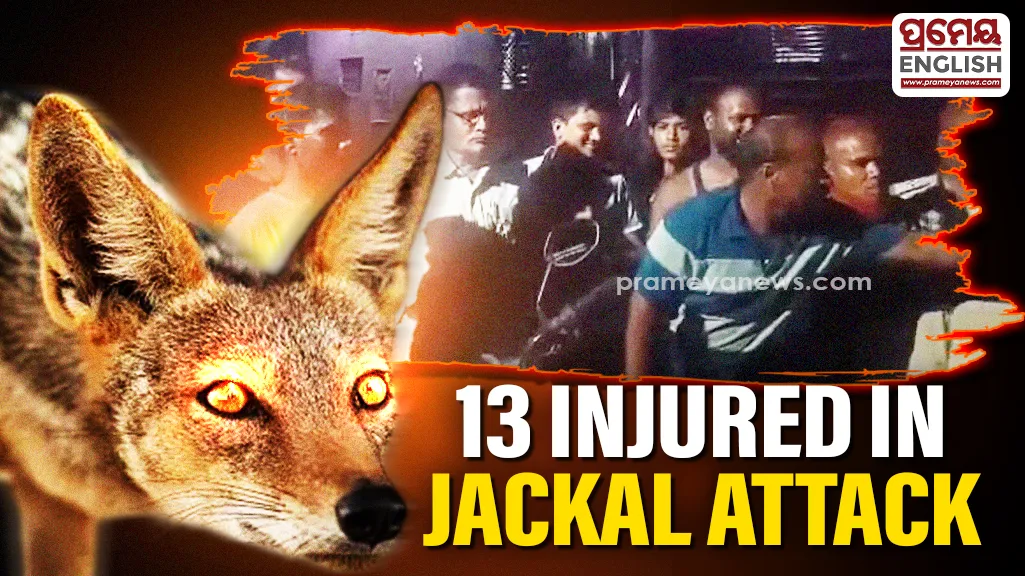 13 injured after Jackal attacks villagers in Jajpur

