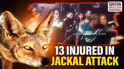 13 injured after Jackal attacks villagers in Jajpur