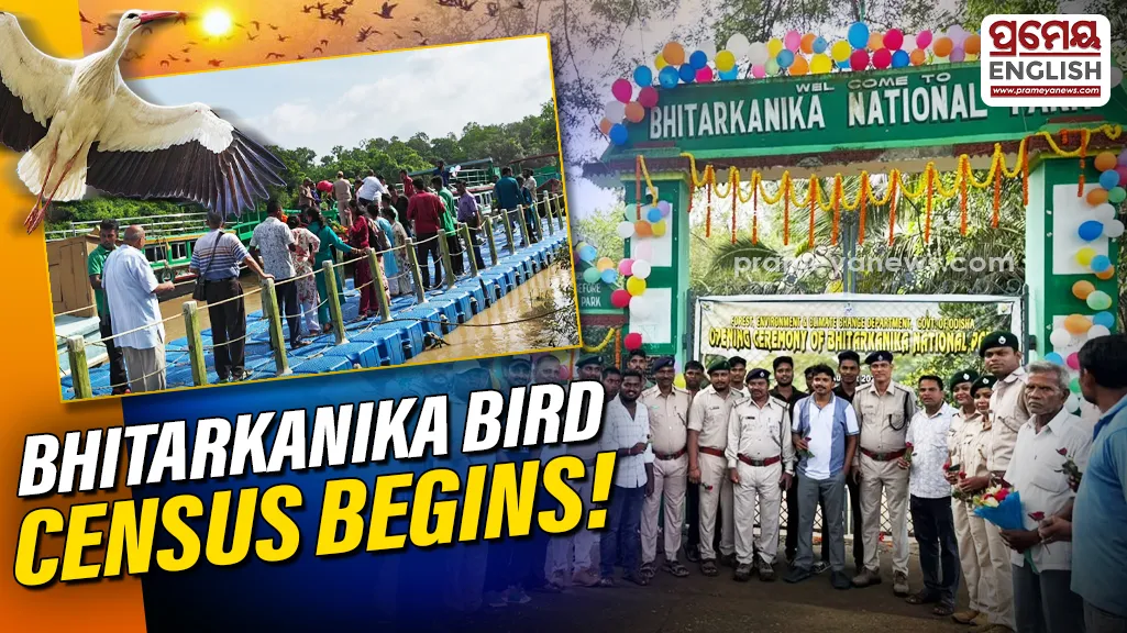 Bhitarkanika Bird Census begins: Know how many migratory birds have arrived this year?

