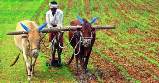 Odisha: Over 41 Lakh Farmers to Get CM-KISAN Assistance Tomorrow