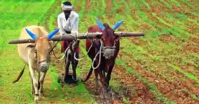 Odisha: Over 41 Lakh Farmers to Get CM-KISAN Assistance Tomorrow