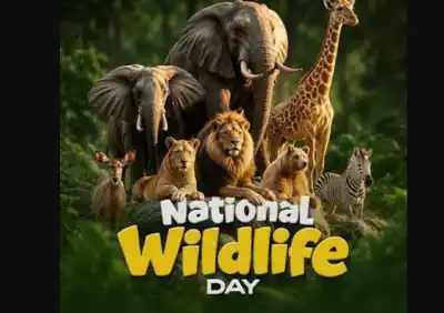 Odisha CM Mohan Charan Majhi extends greetings on National Wildlife Day