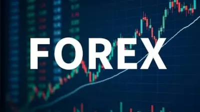 Nine Consecutive Weeks of Growth Drive Indian Exchange Reserves past the 740 Billion Dollar Mark