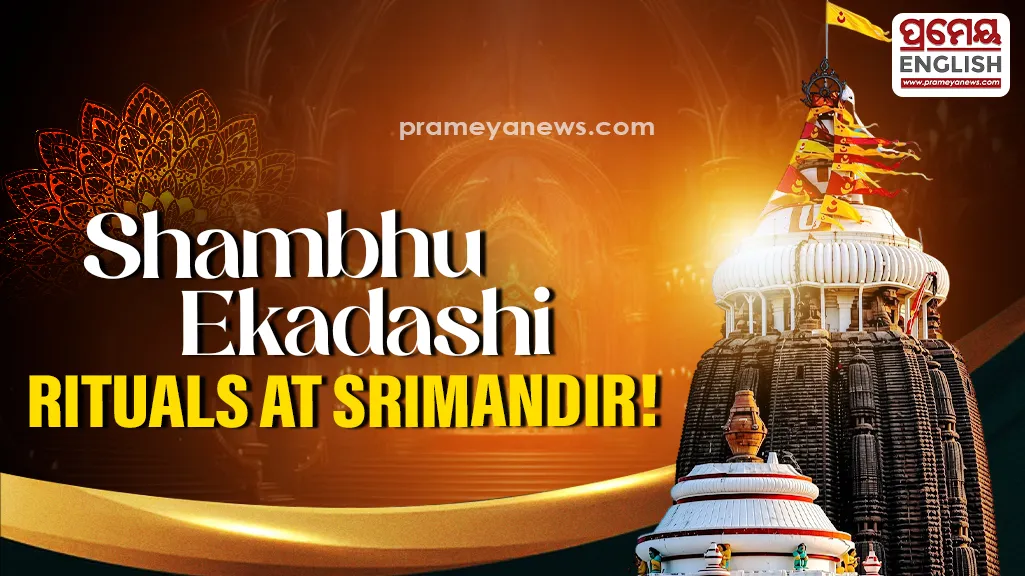 The Kaliya Dalana ritual will also be performed at the Markandeya Pushkarini, regarded as one of the ancient sacred water bodies of Puri. During the celebrations, the ceremonial proposal for the slaying of Dhenukasura will also be presented