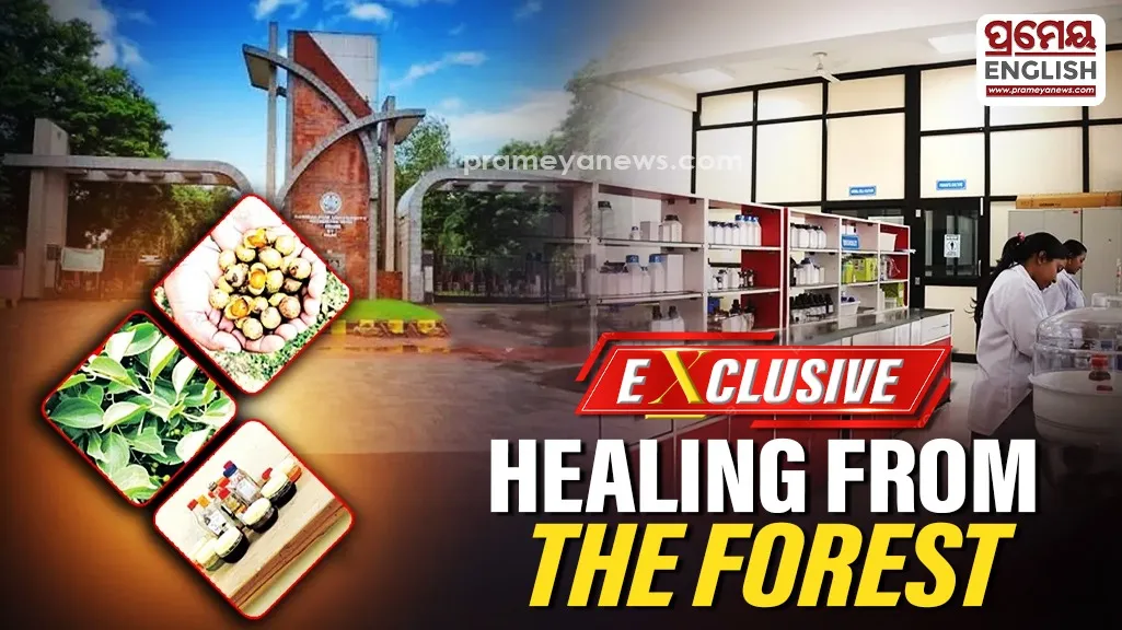 Western Odisha’s vanishing healing tradition