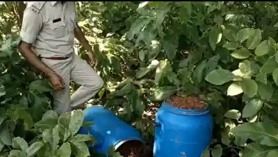 Excise department conducts raids ahead of festive season in Mayurbhanj