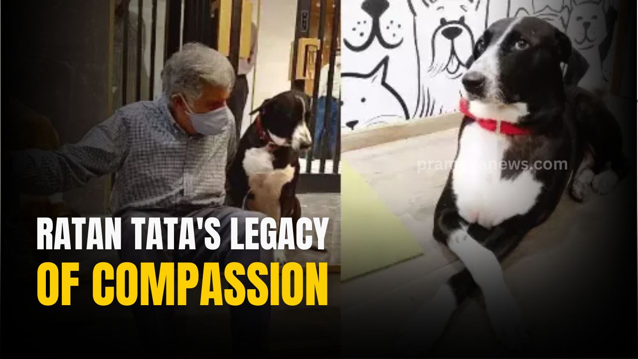 Ratan Tata's Will: A Legacy of Compassion and Generosity
