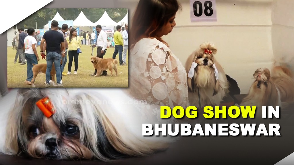 Dog Show in Bhubaneswar: 65th & 66th Championship Highlights