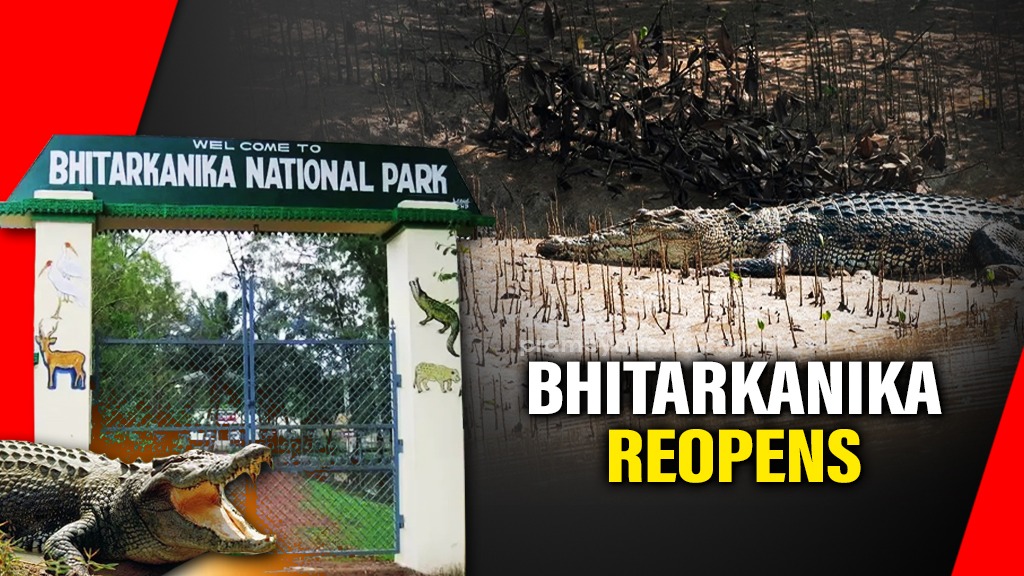 Bhitarkanika National Park Reopens | See Crocodiles & Wildlife
