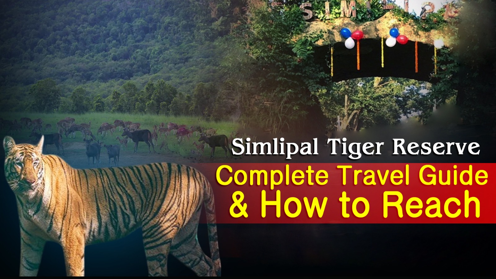 Similipal Tiger Reserve: A Complete Guide, Top Things to do & How to Reach to Odisha’s Wildlife Paradise - Prameya English