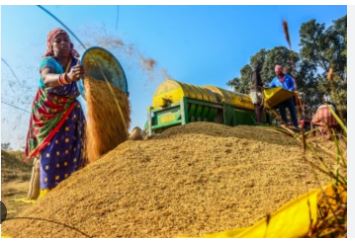 Odisha government to start paddy procurement from November 1 