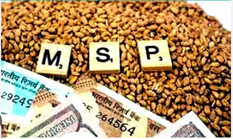 Govt Hikes MSP for Rabi Crops 2025-26, Wheat Up 6%