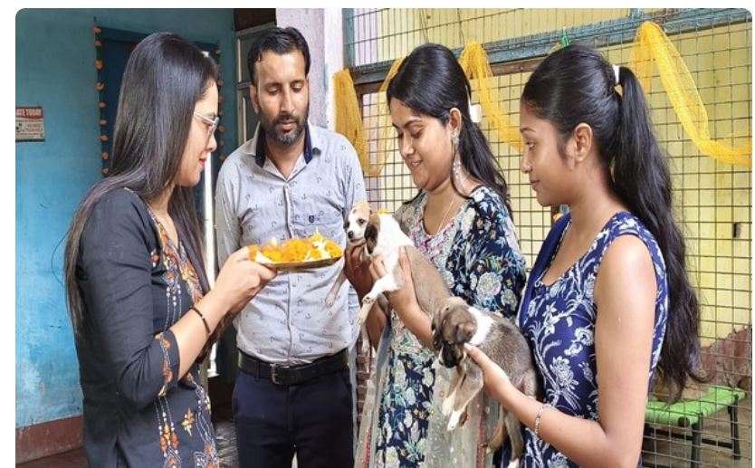 Diwali: Animal helpline celebrates "Kukur Tihar" to honor street dogs