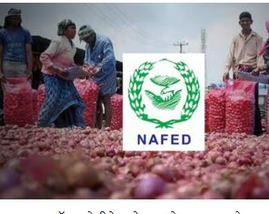 Odisha govt requests NAFED’s Intervention as onion prices spike to ₹70 per Kg