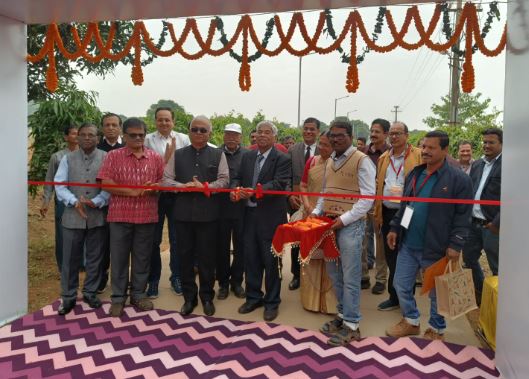 ICAR-CTCRI- Bhubaneswar hosts industry meet to boost biofortified sweet potato value chains