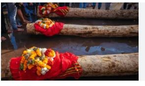 ‘Ratha Katha Anukula’ ritual marks start of Car Festival  preparations at Puri