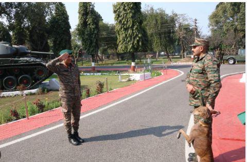 Army honors sniffer dog 'Teena' for exceptional service in Jammu