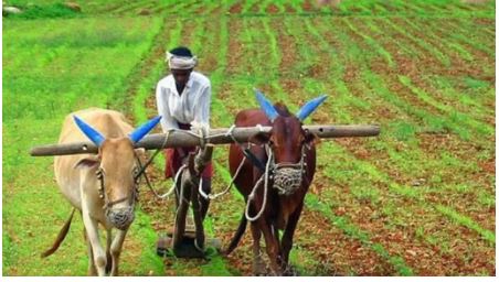 Over 34.98 lakh farmers in Odisha receive 'PM-KISAN Yojana' benefits
