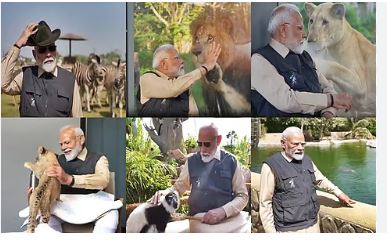 PM Modi praises 'Vantara' initiative,  Encourages compassion for animals