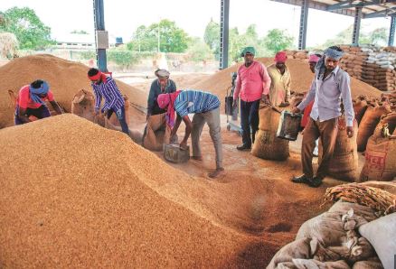 Paddy procurement reaches 70 lakh metric tonnes in Odisha during Kharif Season