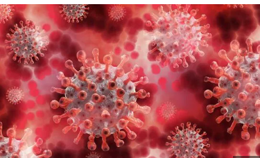Five active Covid-19 cases detected in Odisha: Four from Bhubaneswar, one from Jatni