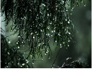 India witnessed wettest May since 1901 with 126.7 mm rainfall: IMD