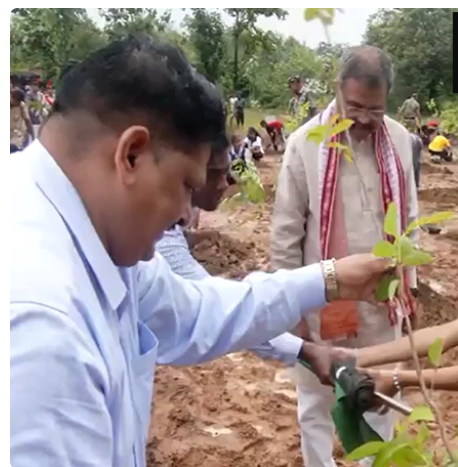 Dharmendra Pradhan participates in ‘Ek Ped Maa Ke Naam’ plantation drive in Odisha’s Deogarh
