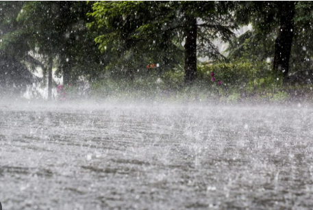 IMD forecast Heavy rainfall across Odisha till July 28