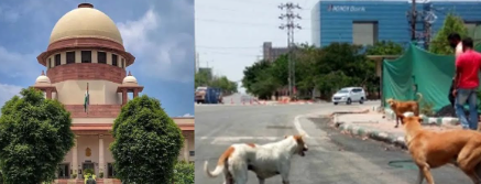 Supreme Court forms 3-Judge Bench to revisit stray dog relocation in Delhi-NCR