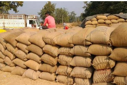 Odisha Govt extends paddy procurement registration deadline to August 25