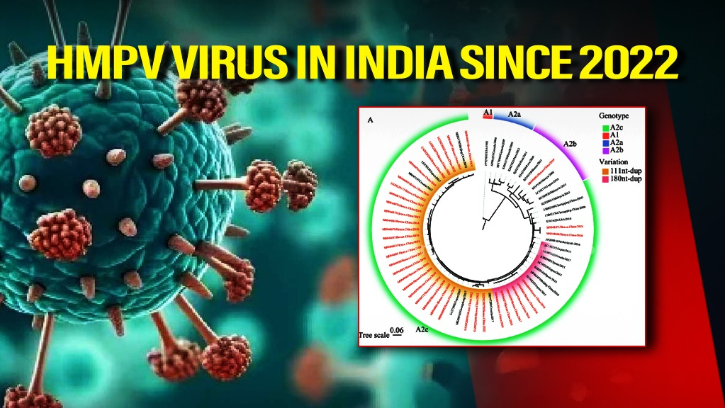 HMPV Cases in Karnataka: What You Need to Know