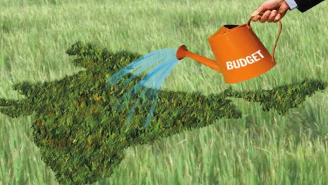 What Farmers get in the Union Budget 2025 of Modi govt: PM – KISAN Outlay Up, Crop Insurance Down!