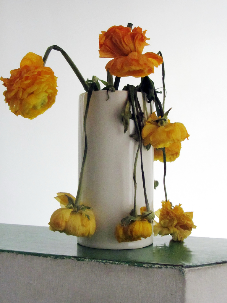 How to make your blooms last longer