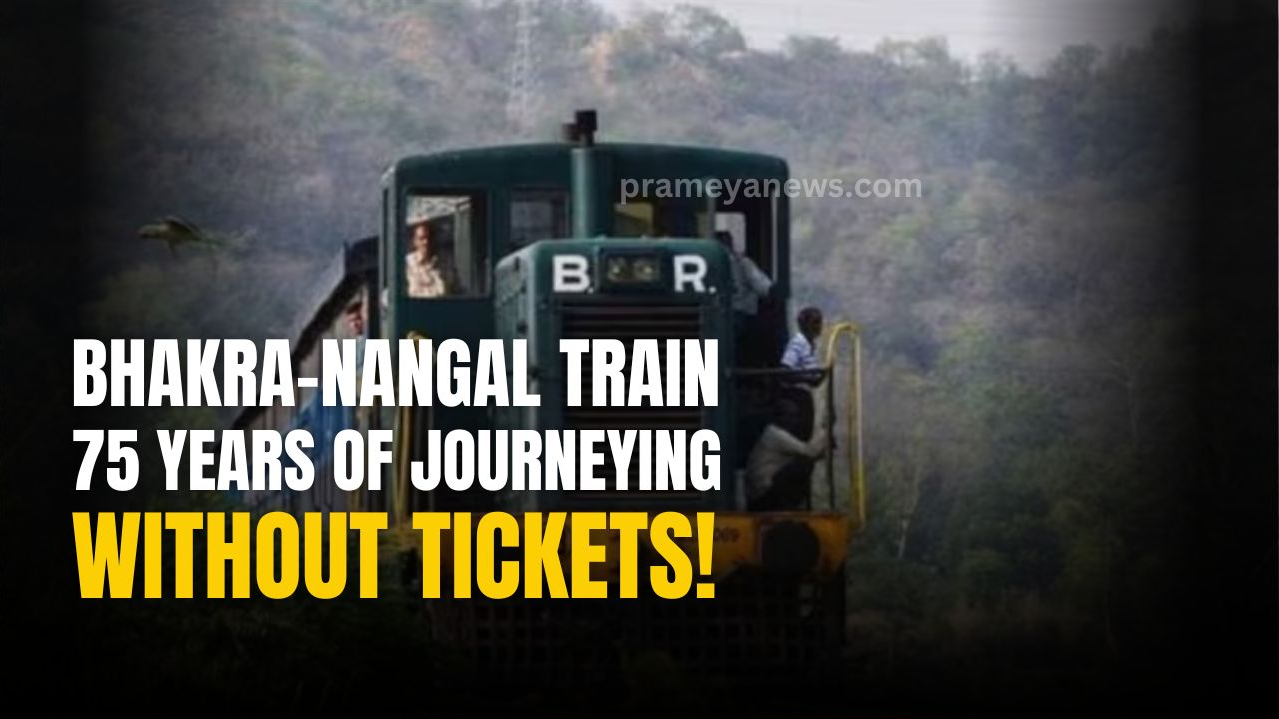 Bhakra-Nangal Train: 75 Years of ticketless travel 
