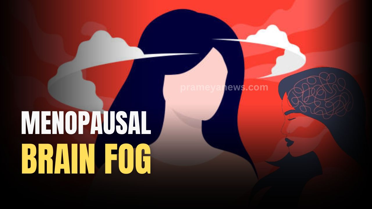 Conquering the menopausal maze: Overcoming brain fog