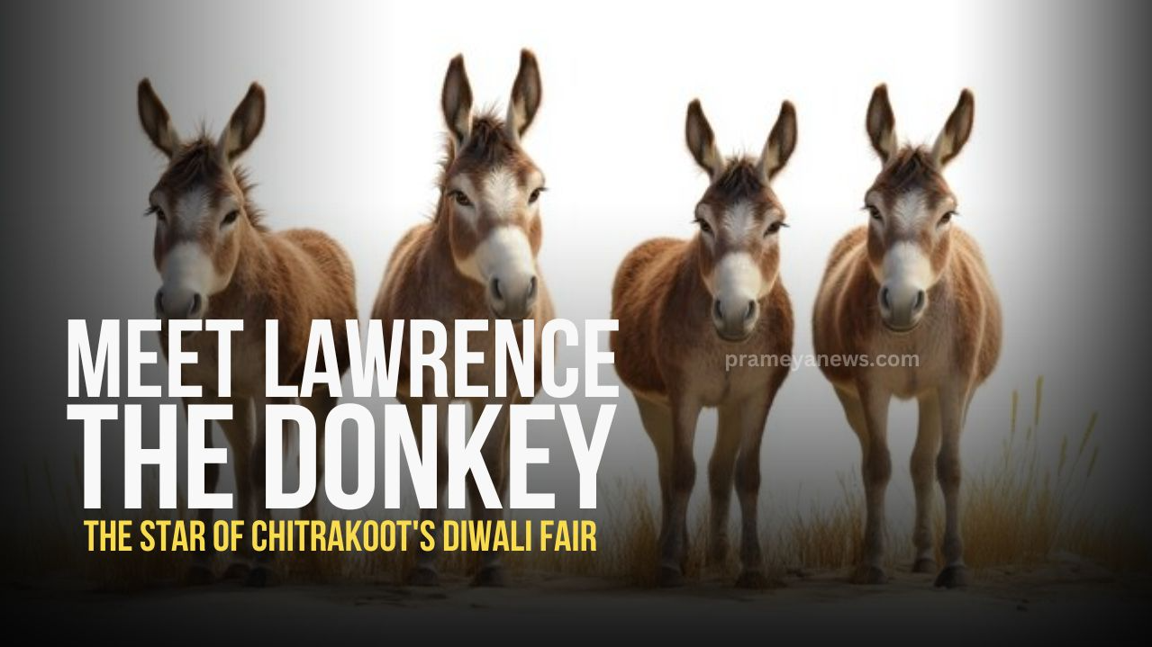 "Lawrence" the Donkey steals the show; sold for Rs. 1.25 Lakhs at Chitrakoot's unique Diwali fair - Prameya English